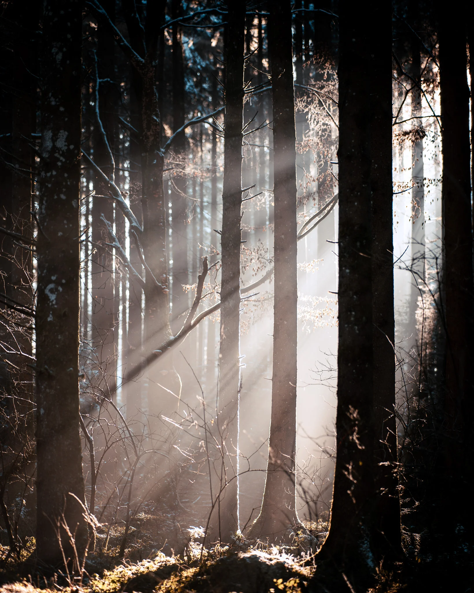 Nature photography Kempten – snow-capped peaks
